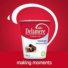 Delamere yoghurt with chocolate chips 450g