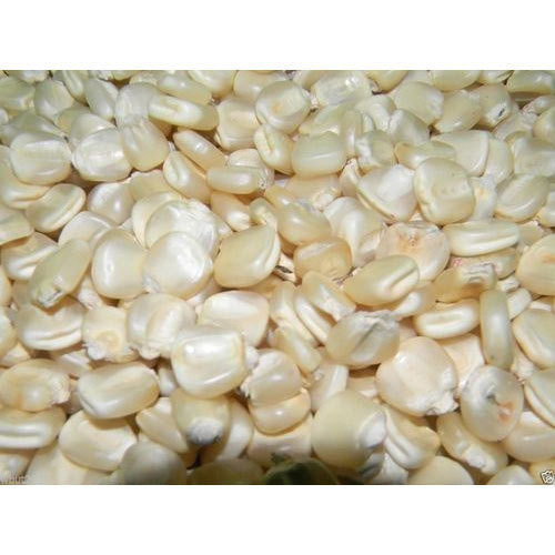 Galey Xashiran 1kg