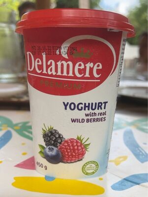 Delamere Premium Yoghurt With Real Wild Berries 450g