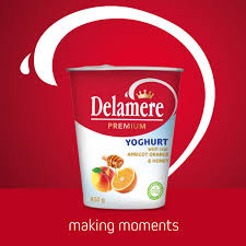 Delamere Premium Yoghurt With real Apricot Orange&honey 250g