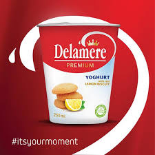 Delamere Yoghurt With Real Lemon Biscuit 250ML