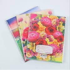 Book MtsLine 100 Sheet