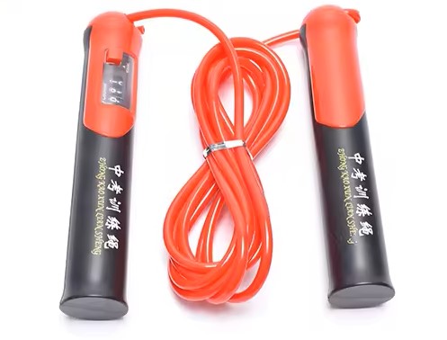 Jump Rope Professional Rope 170 352-275