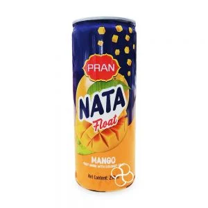Pran Nata Float Mangoi 250ml