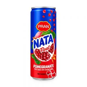 Pran Nata Float Pomegranate 250ml