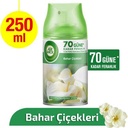 Air Wick Bahar Cicekleri 250ml