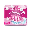 Always breathable soft cotton 30pcs