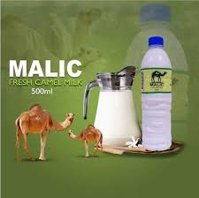 [A06852] Malic fresh camel milk 500ml