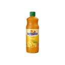 Sunquick Mango Drink 700ml