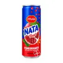 Pran Nata Float Pomegranate 250ml