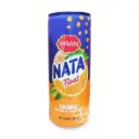 Pran Nata Float Orange 250ml