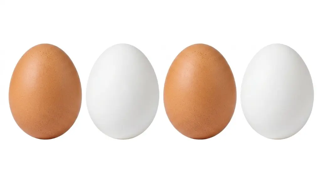 Ukun Egg 1pc