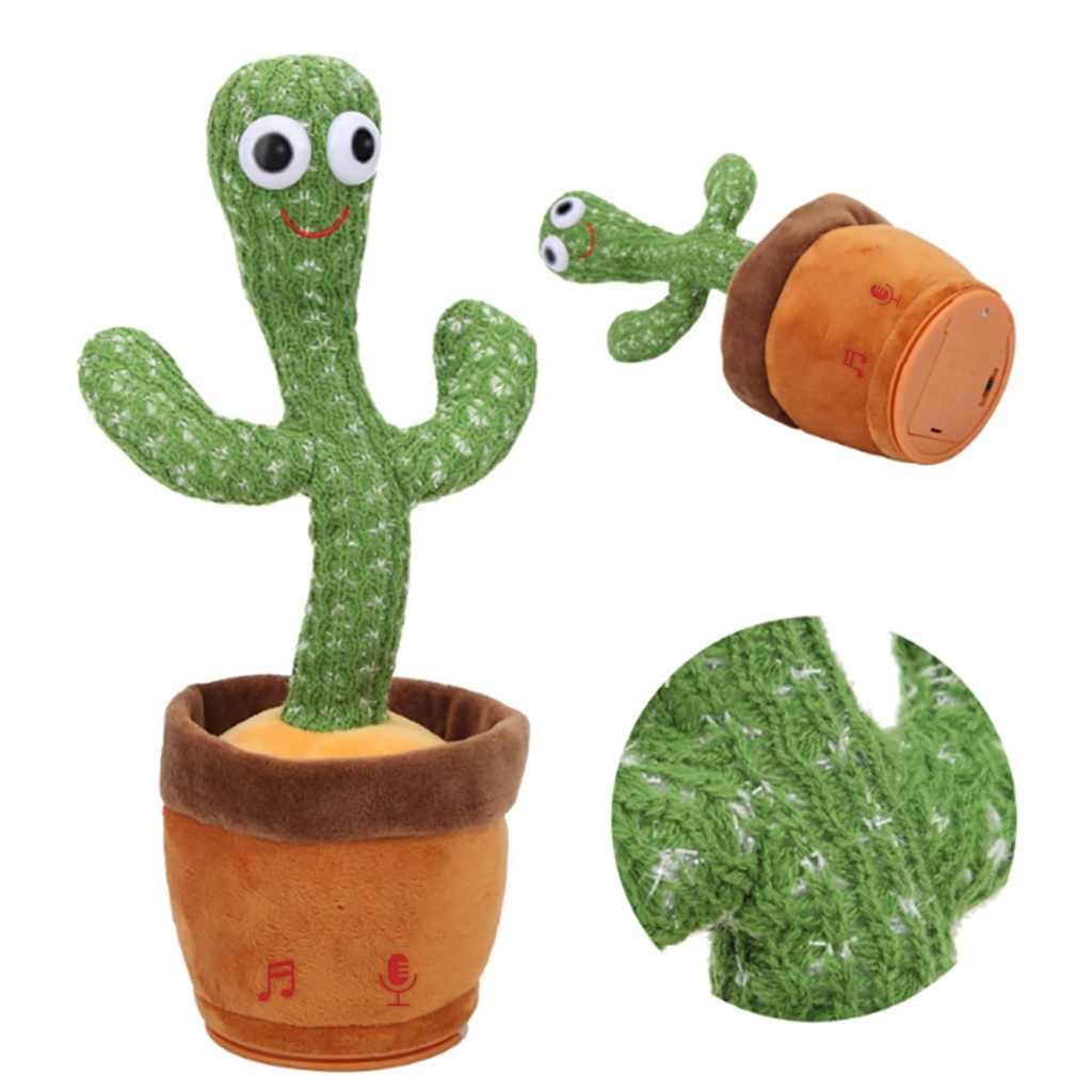 Fur Star Dancing Cactus No,T858