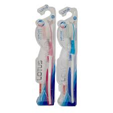 Lotus oral care toothbrush N:l-531y