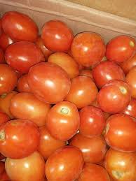 Yaanyo Sabirsaan 1kg