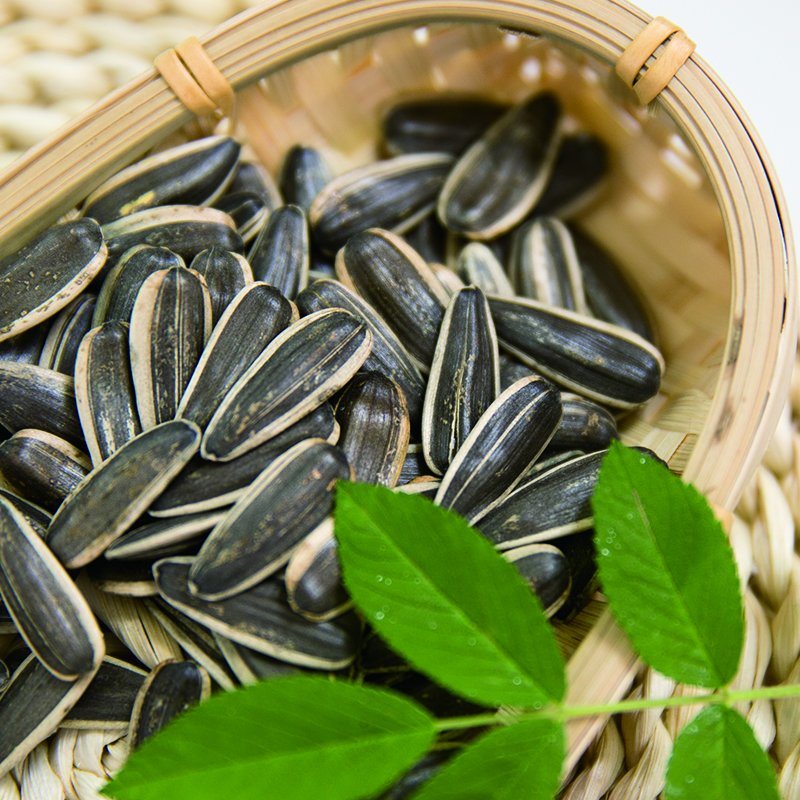 Sunflower seed 230/240 20kg china nuts&co