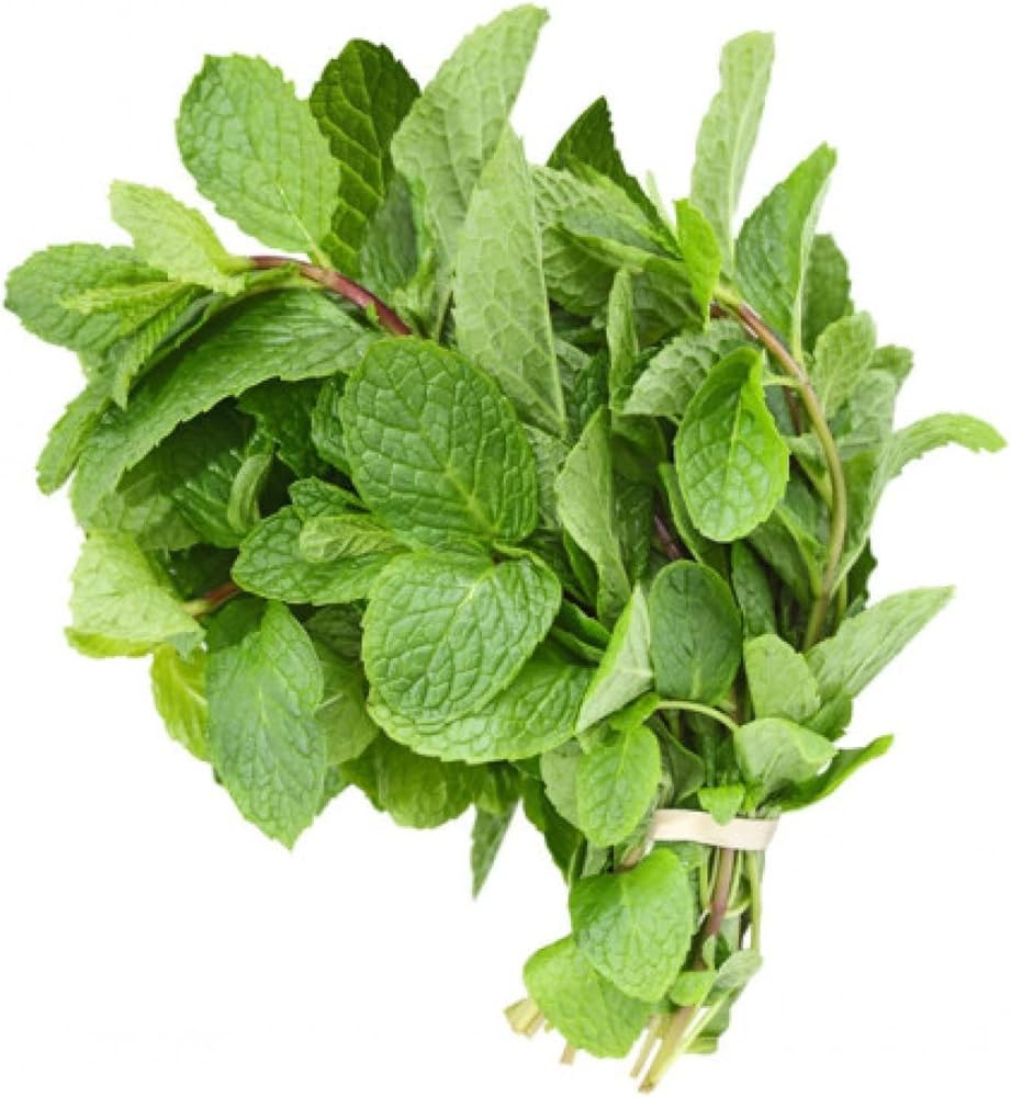 Mint Leaves 1kg