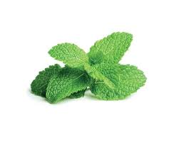 Mint leaves 250g