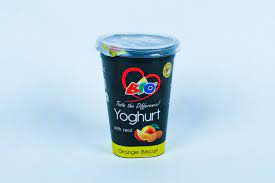 Bio Yoghurt With Real orange Biscuit 450ml