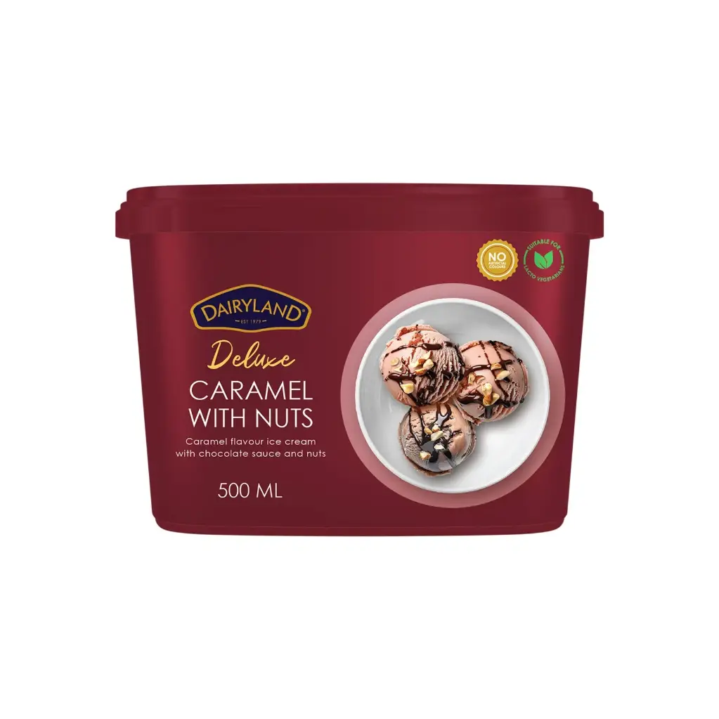 Dairyland Deluxe Caramel W nuts Ice Cream 500ml