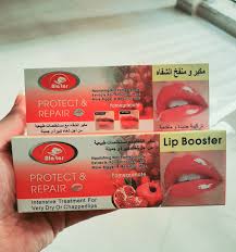 [A00302] Alatar protect&repair lip booster