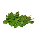 Caleen Mint