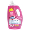 CLOREX CLEANER PINK 4X3  L