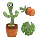 Fur Star Dancing Cactus No,T858