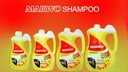 Marwo Shampo 1ltr