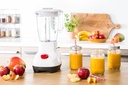 Moulinex blender lm 2071