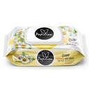 Papilion alchohol free mult vitamin formula wet wipes 100pcs