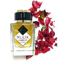 [A08595] Perfume Blair carino vip 100ML