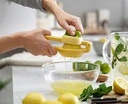 Hf Dual-Action Citrus Press