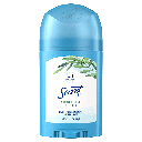 Secret Shawer Fresh 48g