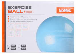 [A15825] LineUp Exercise Ball LS3221