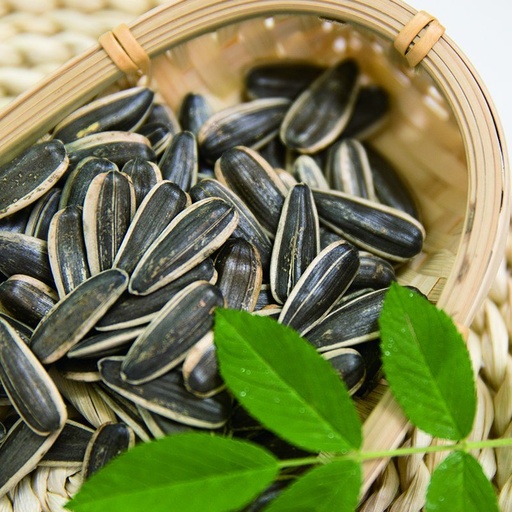 [A16706] Sunflower seed 230/240 20kg china nuts&co
