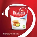 Delamere Yoghurt With Real Lemon Biscuit 250