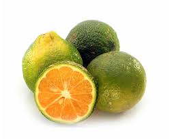 [A19224] Lemon Mandriina (daniini) 1kg