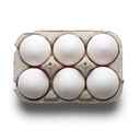 Ukun 6pcs