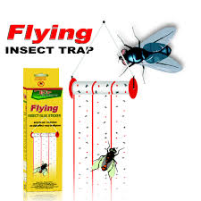 [A24600] Trap Expert Flying Insect Glue Sticker no=3-2